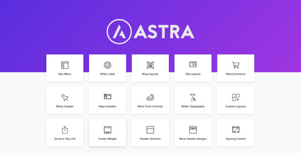 Astra Pro-Astra主题高级扩展插件[更至v4.1.7]